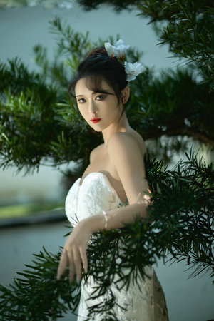 把女人弄爽A片特黄大片在线